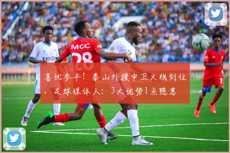 喜忧参半！泰山外援中卫火线到位，足球媒体人：3大优势1点隐患