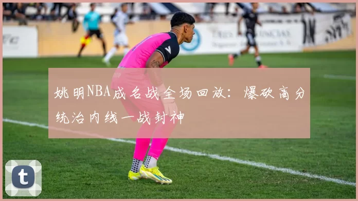 姚明NBA成名战全场回放：爆砍高分统治内线一战封神