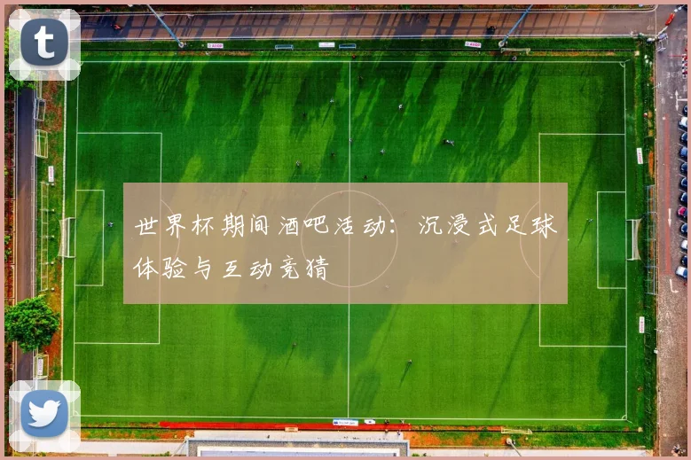 世界杯期间酒吧活动：沉浸式足球体验与互动竞猜
