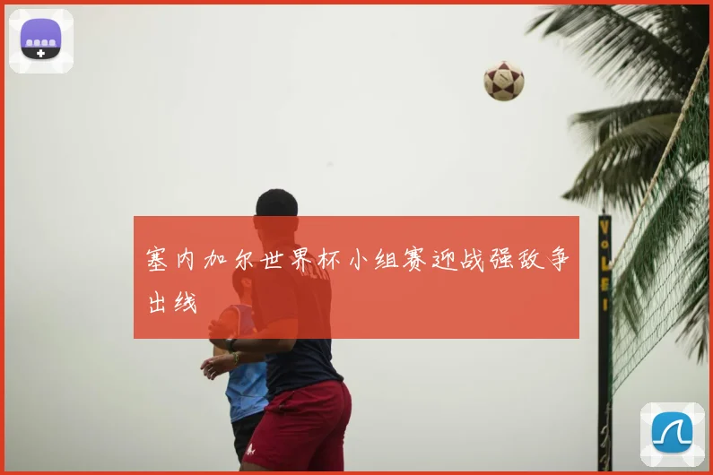 塞内加尔世界杯小组赛迎战强敌争出线